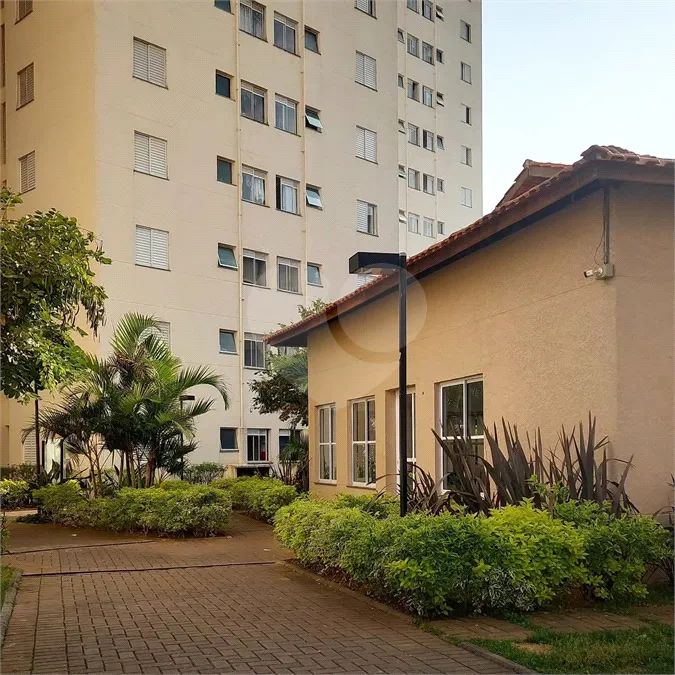Apartamento com 2 quartos à venda em Ferrazópolis - SP - Foto 5