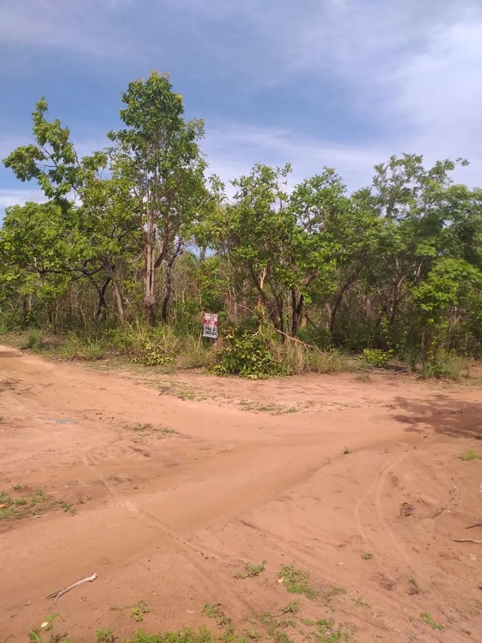 TERRENO DE 10 MIL M² EM TIMOM-MA - Foto 3