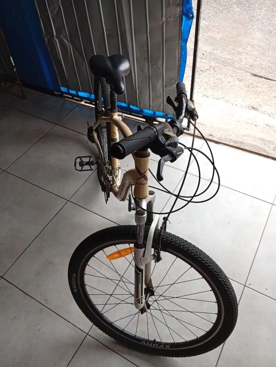Bicicleta audax 