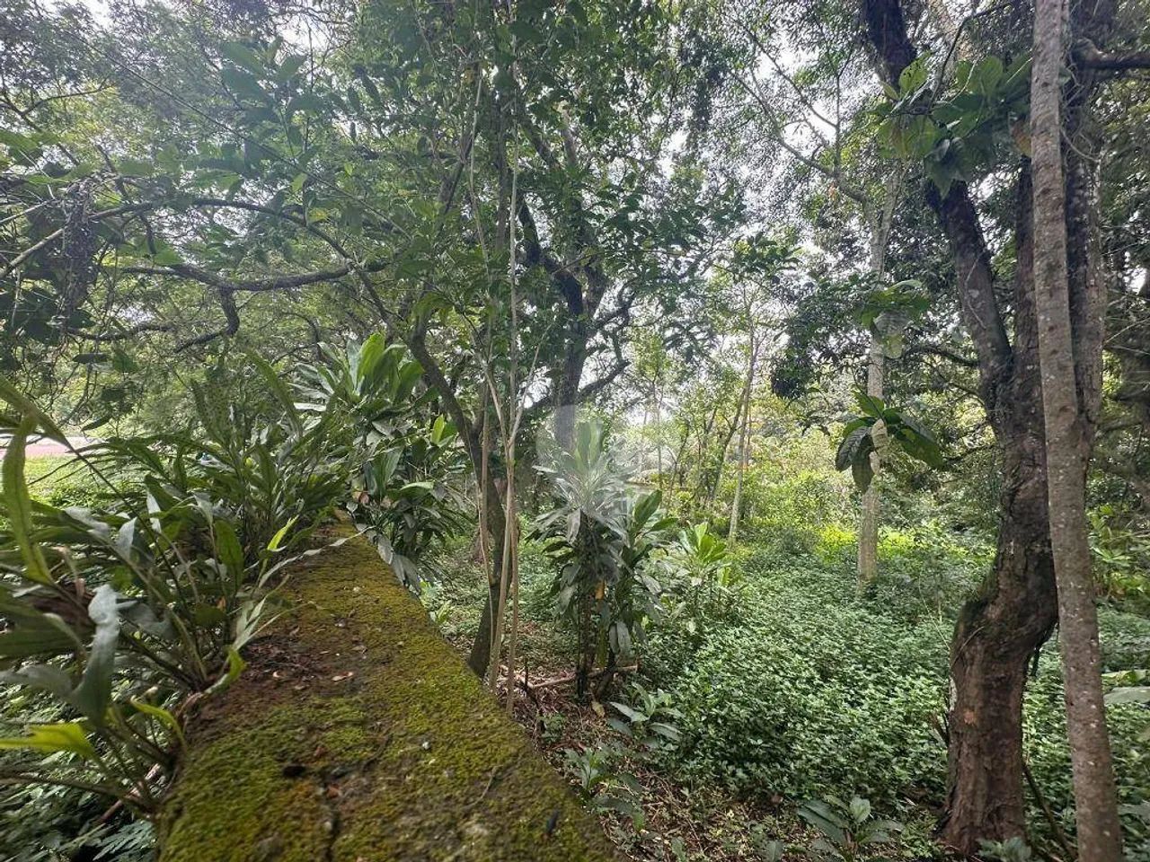 Terreno à venda, 1189 m² por R$ 800.000,00 - Vargem Grande - Rio de Janeiro/RJ - Foto 3
