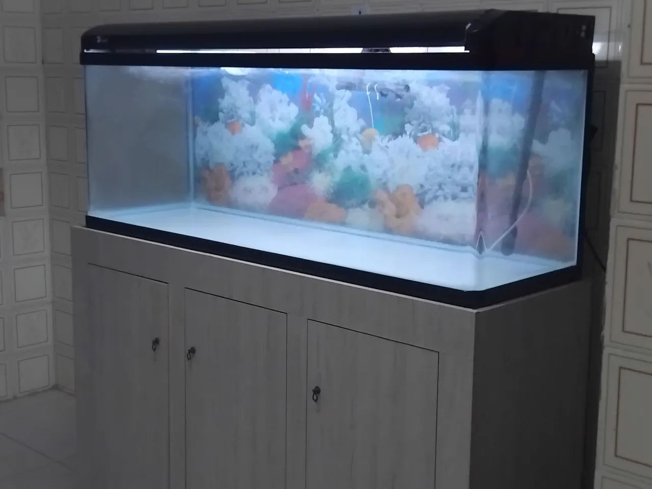Aquário curvo electrical rs 1m 50 347litros - Foto 4