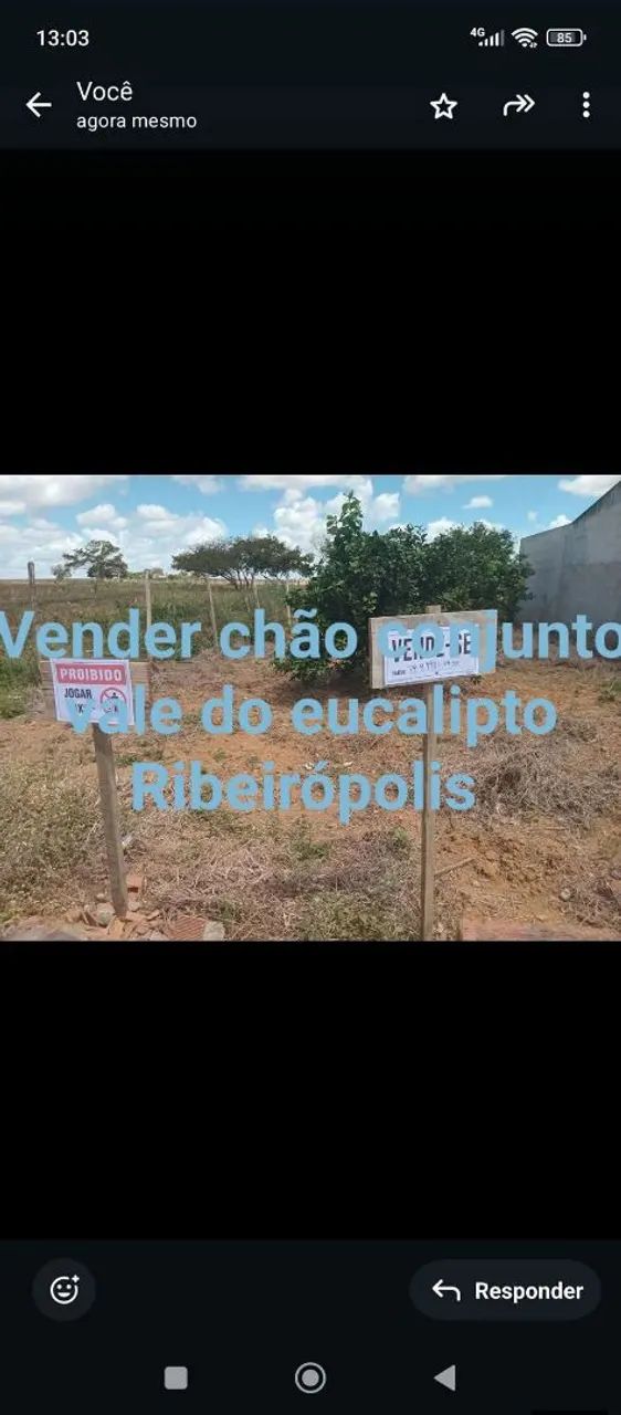Vende-se um chão válido eucalipto Ribeirópolis