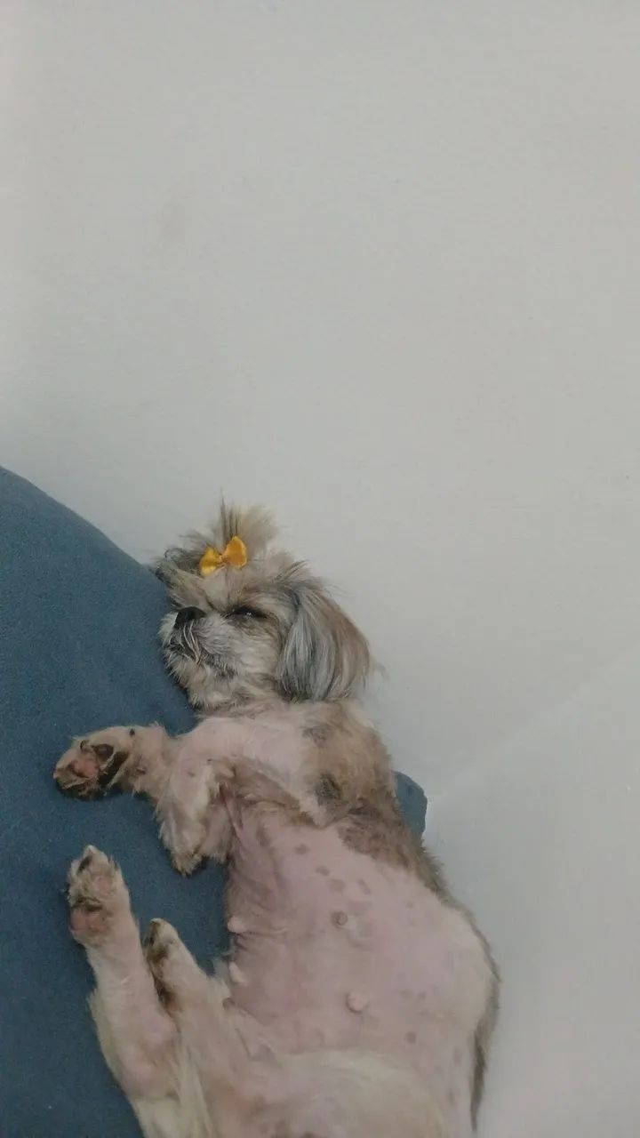 DOANDO STHIZU 