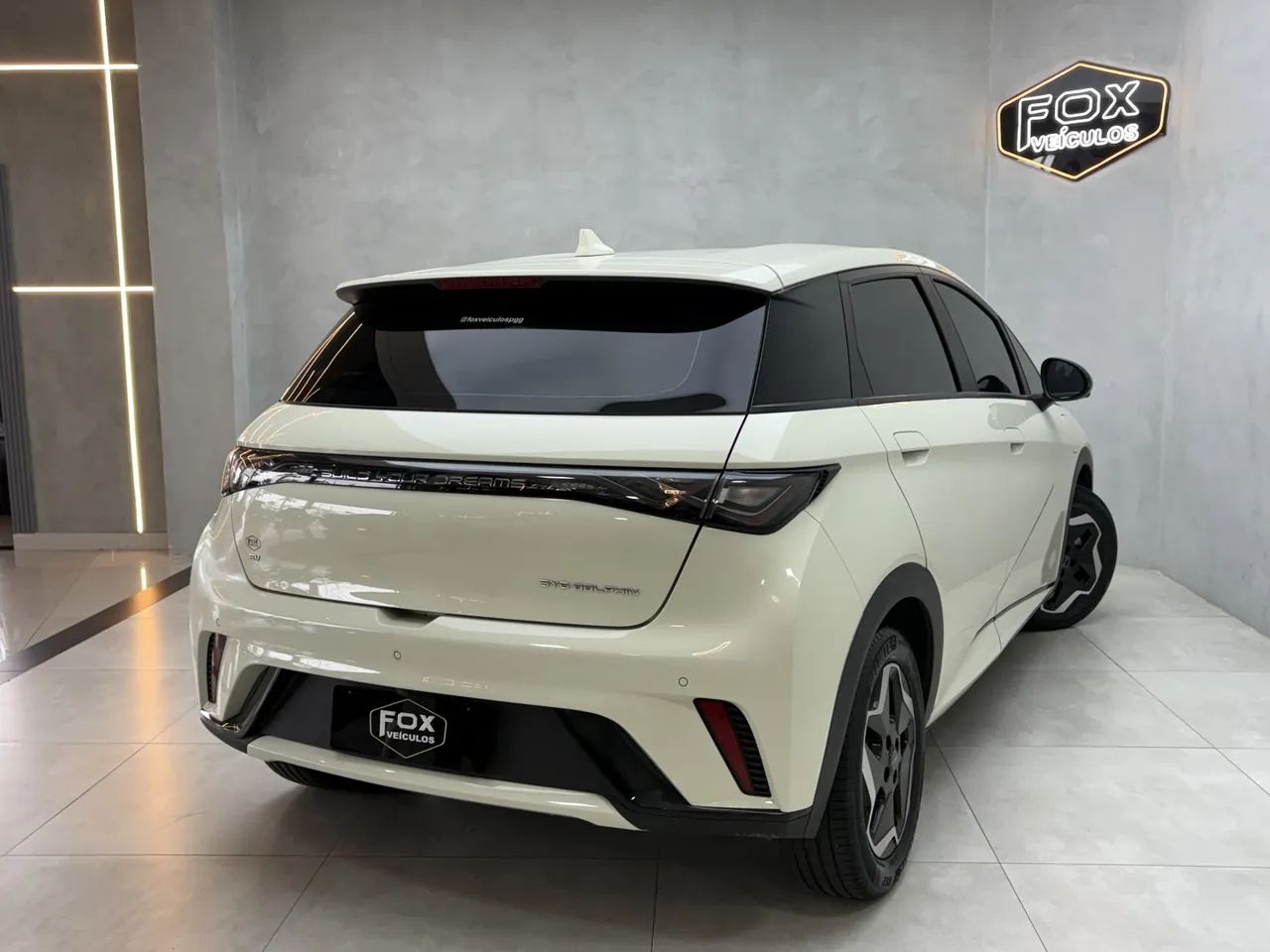 BYD Dolphin EV (Elétrico) 2024 - Foto 4