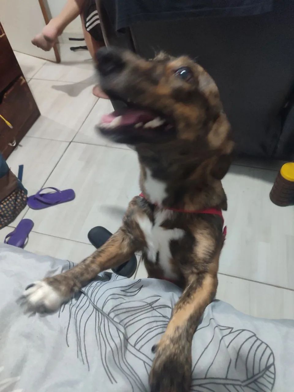 Soneca 8/9 meses - Foto 2