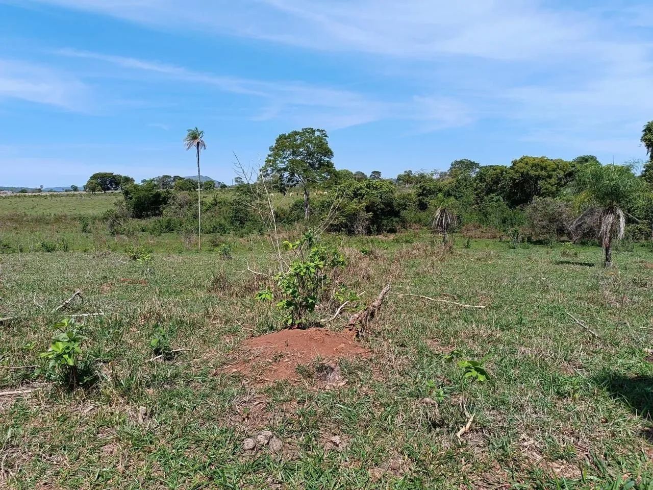 Terra em Campos Belos-Go - Foto 4