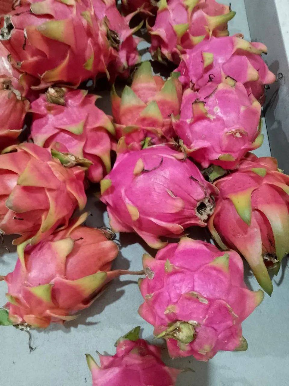 Pitaya