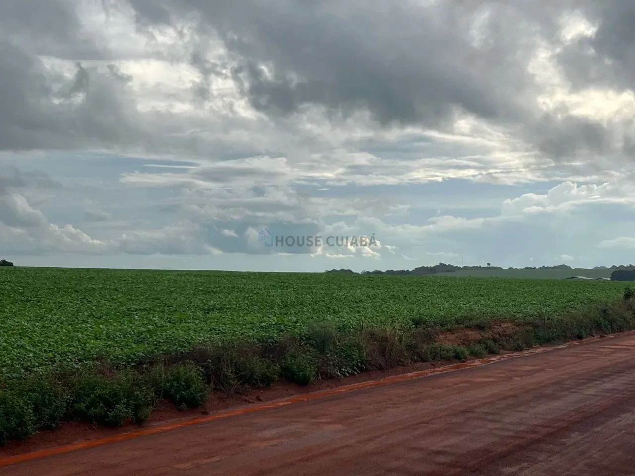 FAZENDA À VENDA  REGIÃO DE NOBRES / MT - Foto 4