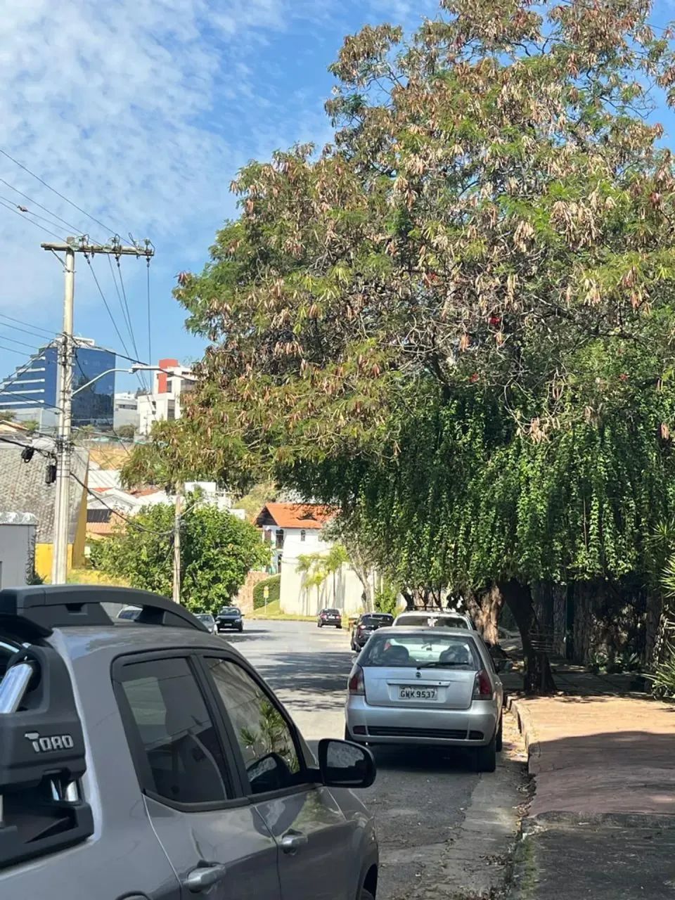 Lote 450m2 - São Bento - Foto 5
