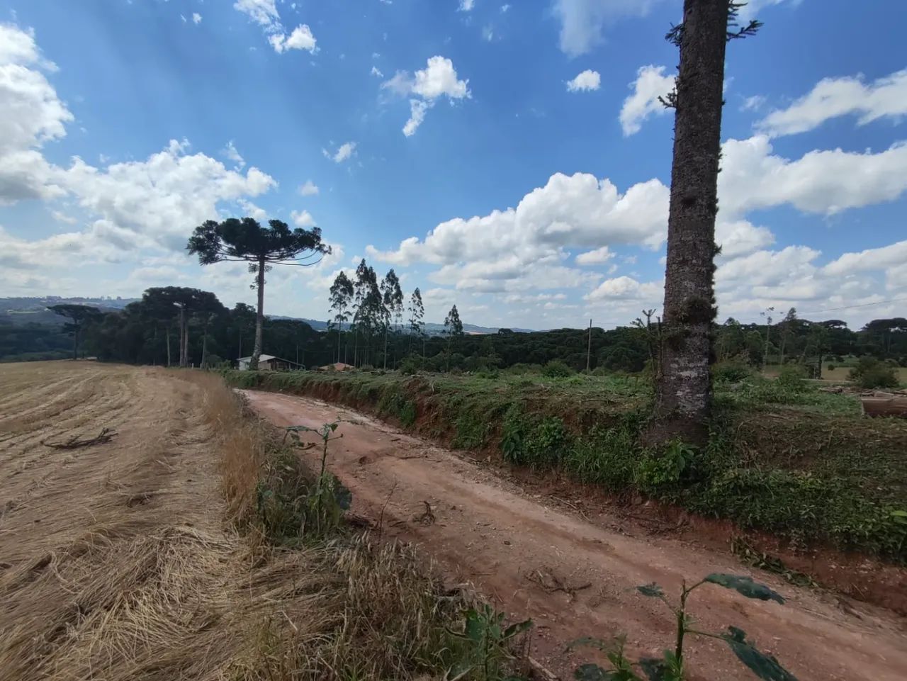 Castro - Venda - Foto 3
