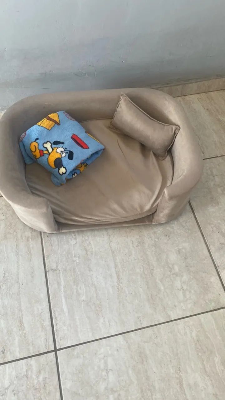 Vendo coma e cocho pra Pet  - Foto 4