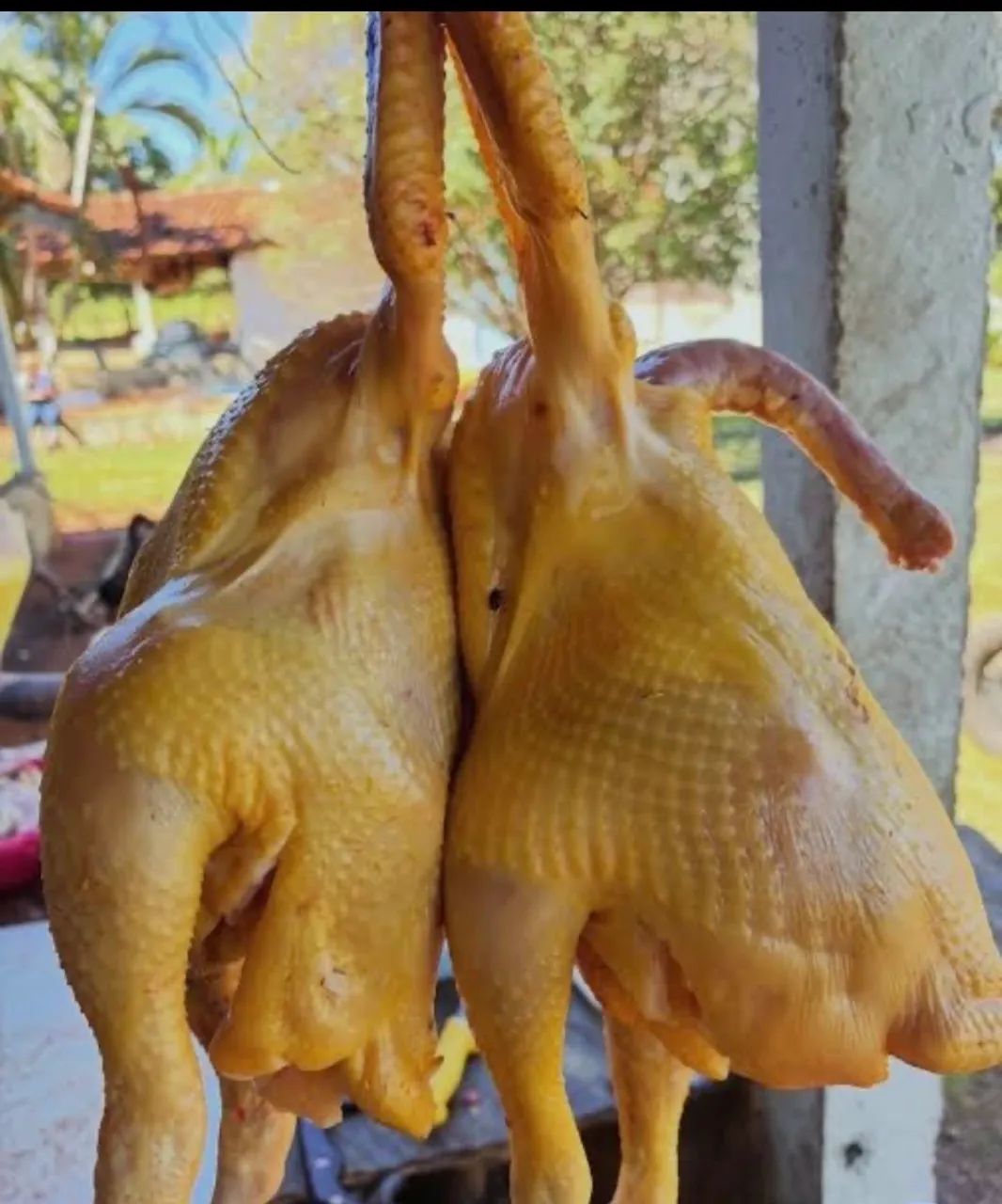 Frango caipira  - Foto 4