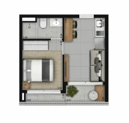PLANTA 31m²