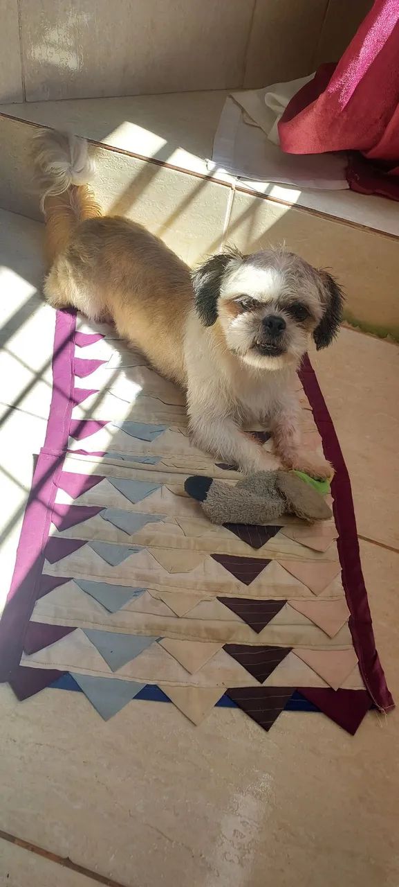 Doação  - Foto 2