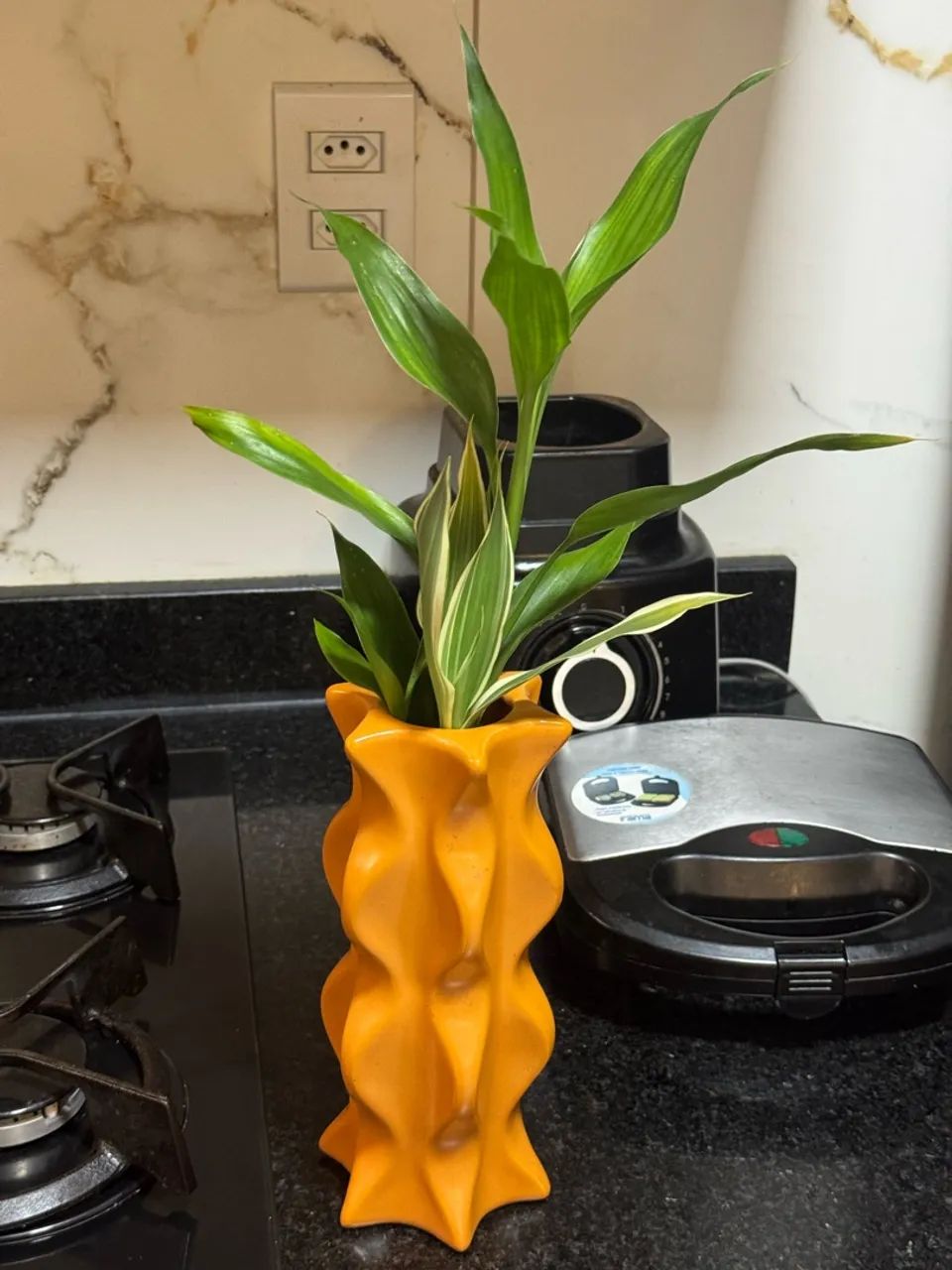 Vende-se planta  - Foto 2