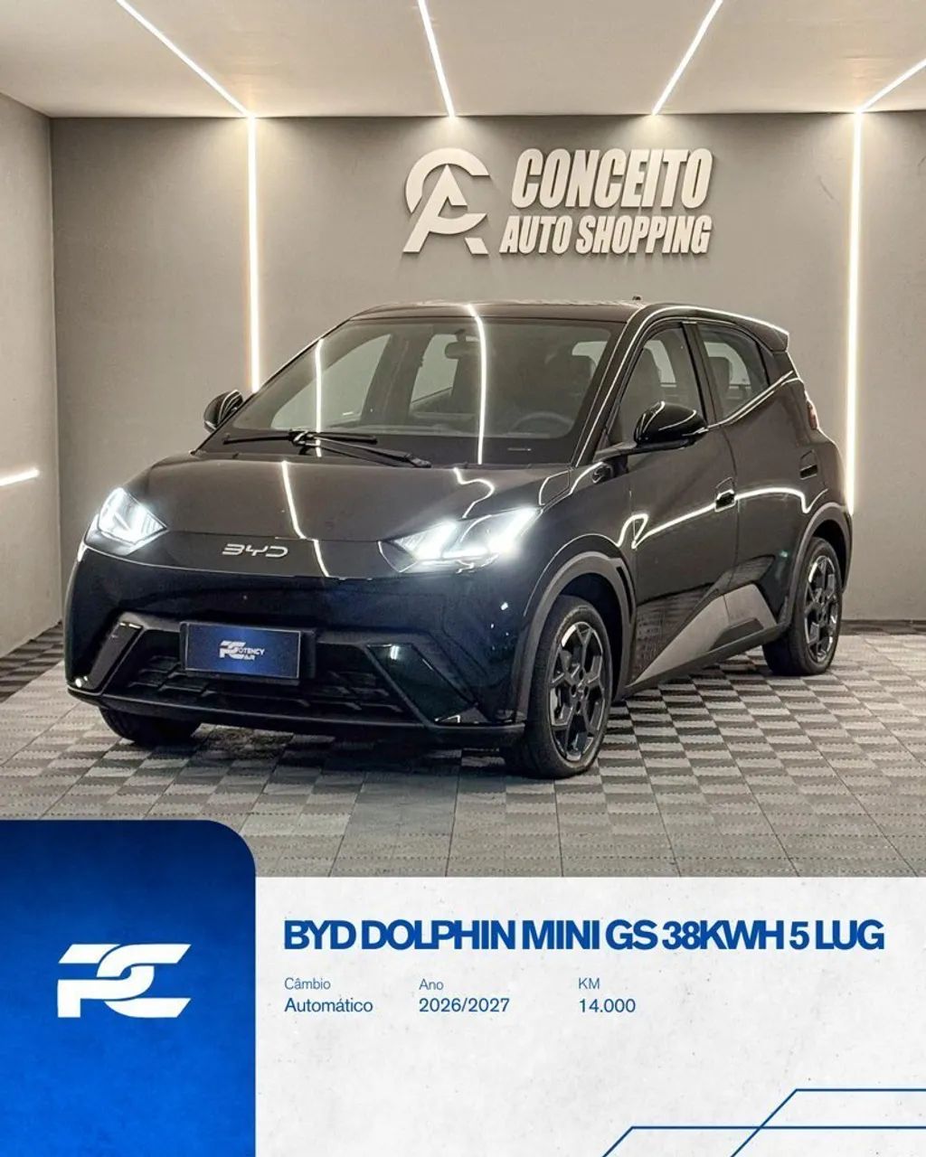 BYD Dolphin Mini (Elétrico) 2027
