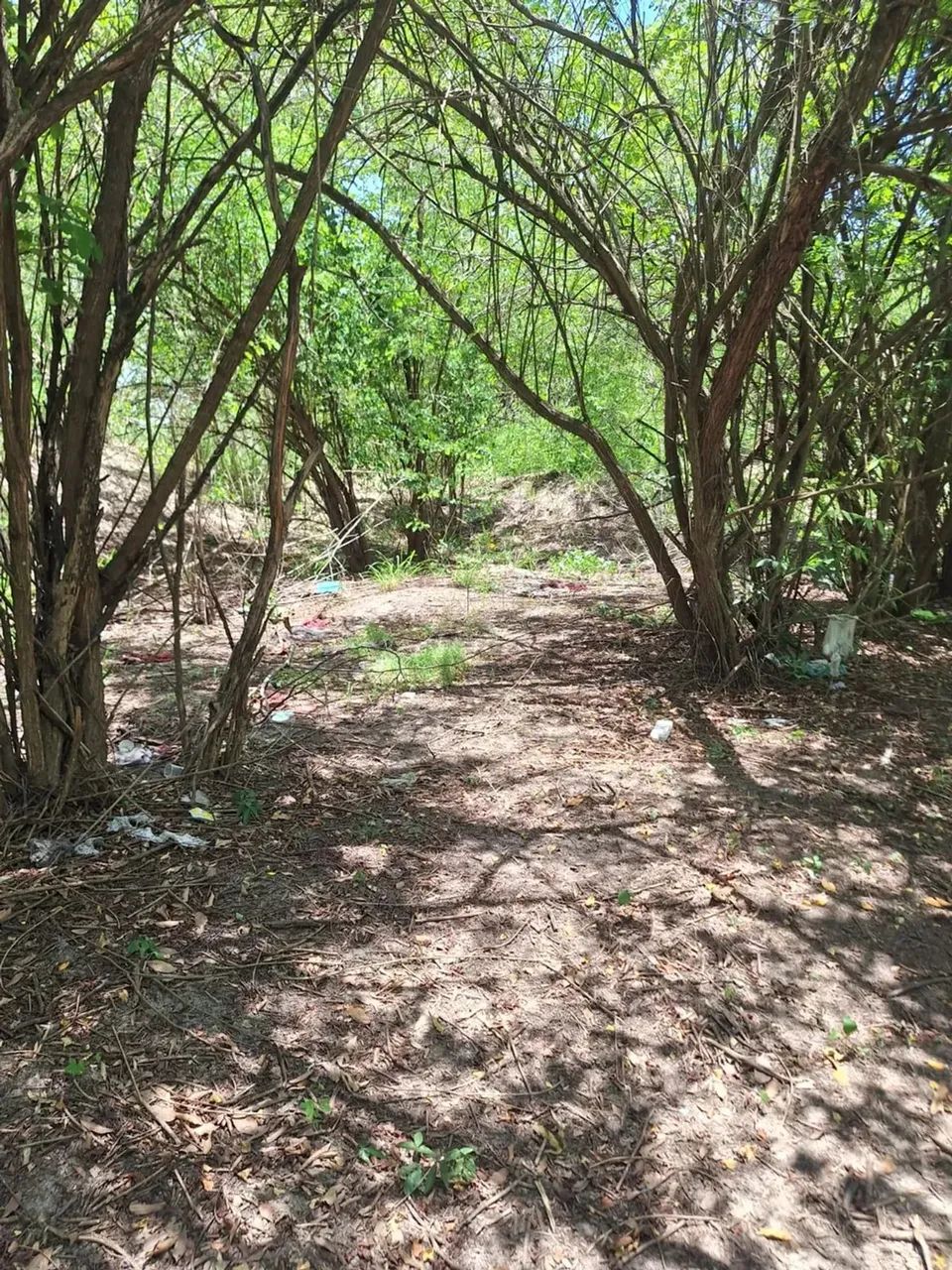 sítio com 14.000m² - Foto 12