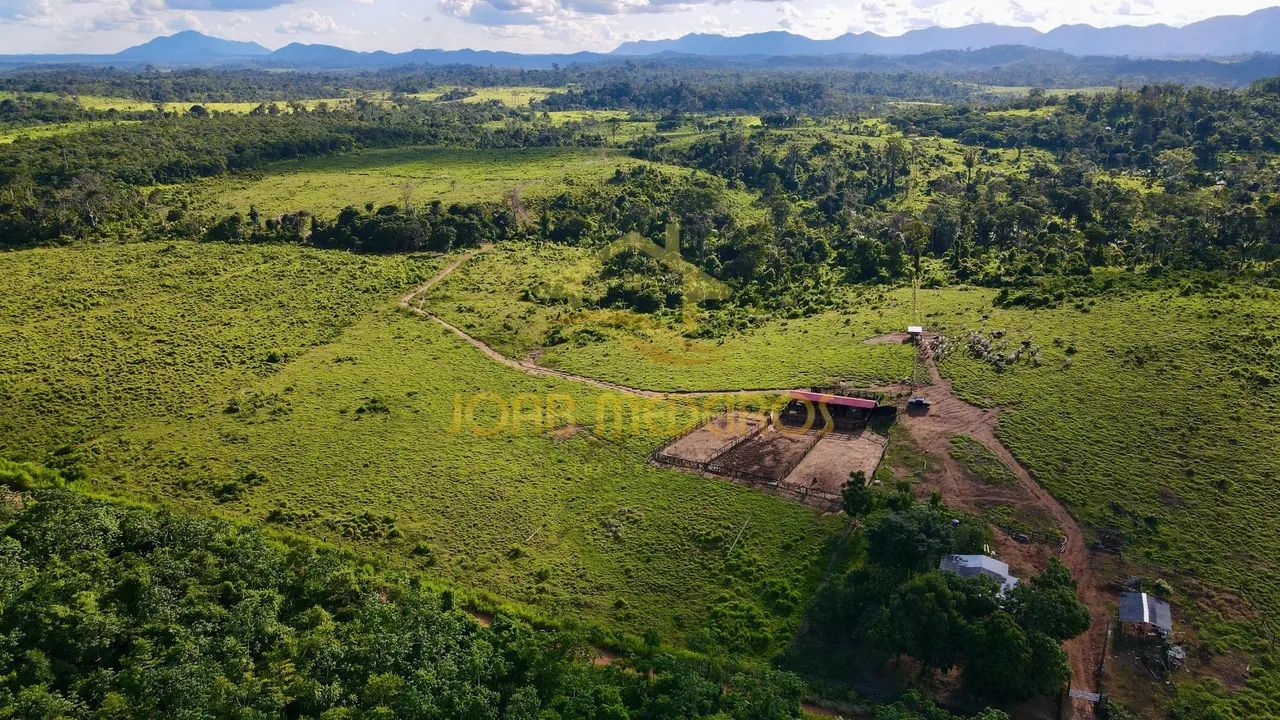 FAZENDA À VENDA - IRACEMA | CAMPOS NOVOS - RR / VENDA - Foto 5