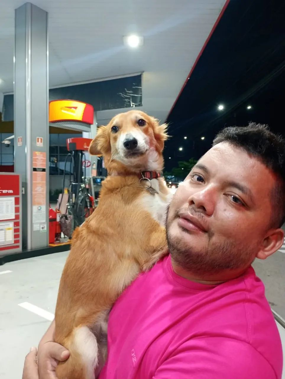 Táxi dog do Leo  . - Foto 3