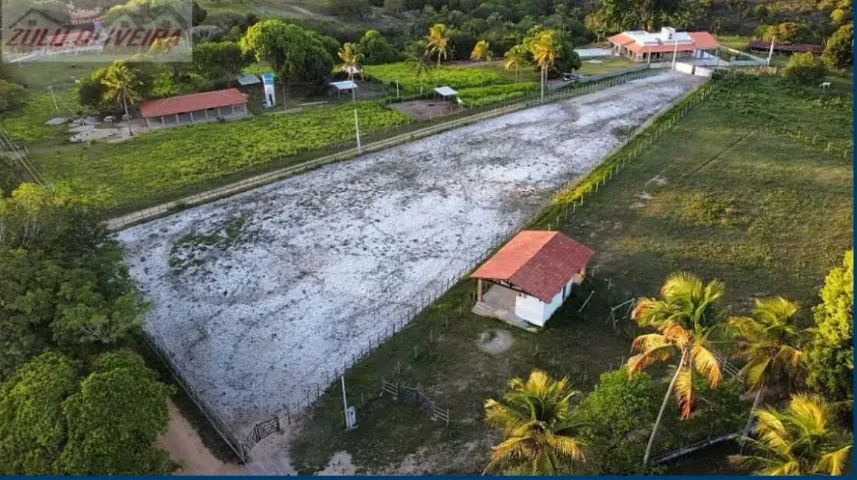 SÍTIO NO CONDE