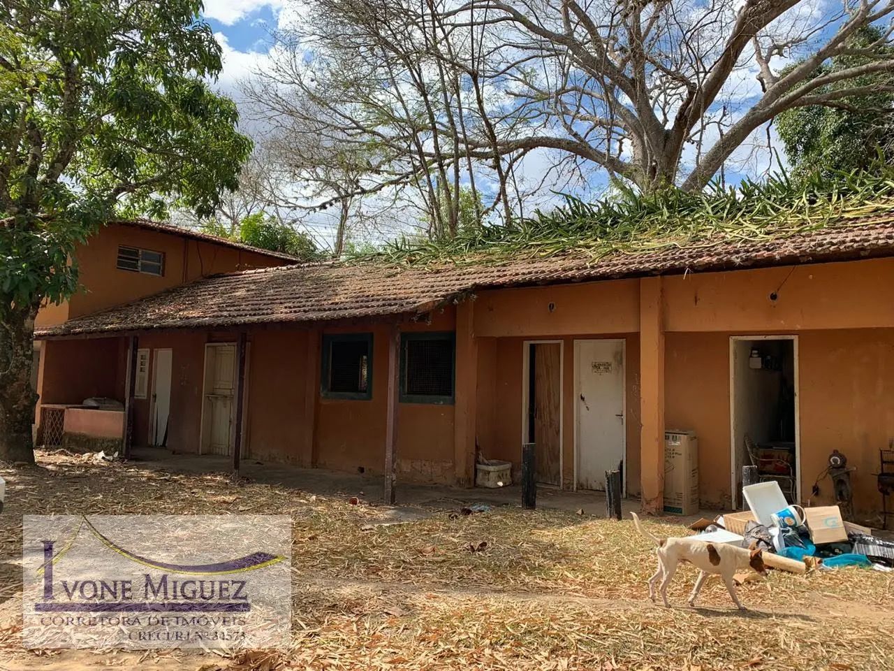Sítio em Andrade Costa - Vassouras - Foto 3
