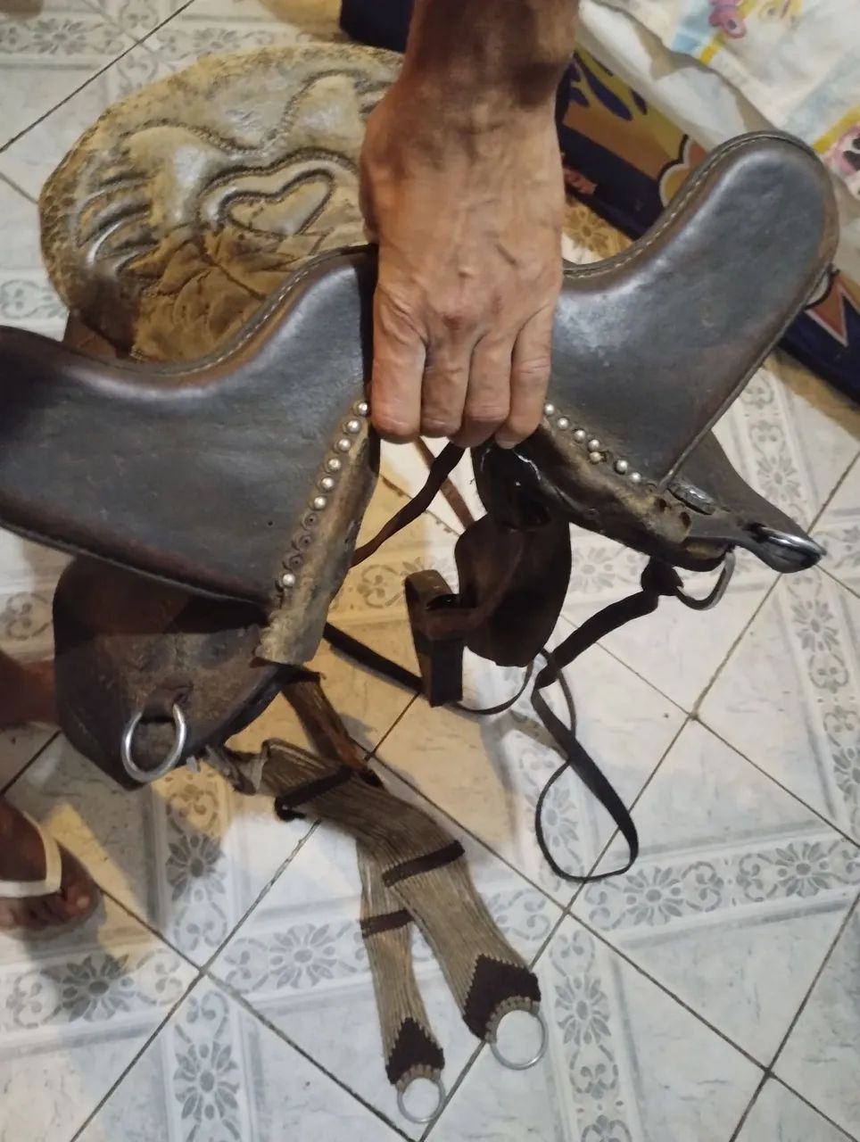 Cavalos e cela pra vender  - Foto 3