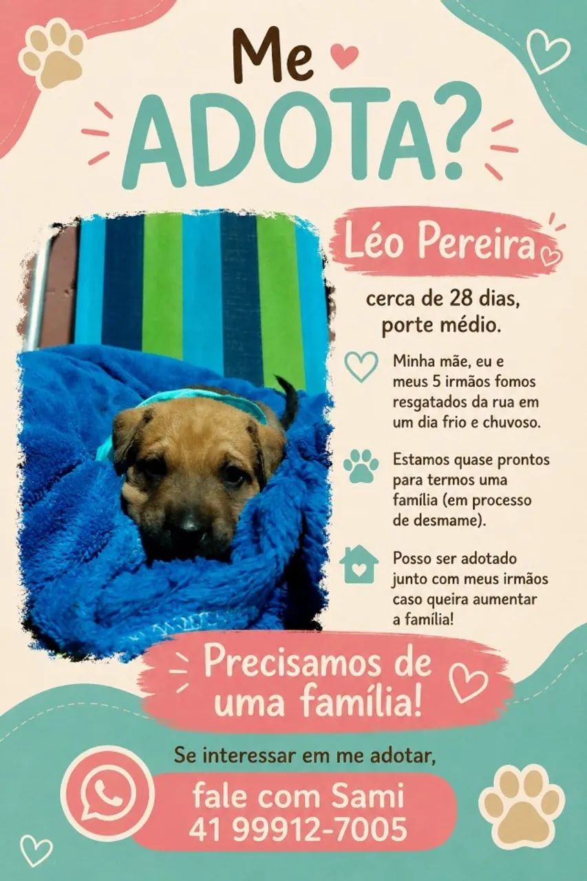 FILHOTES LINDOS ADOÇÃO  - Foto 4