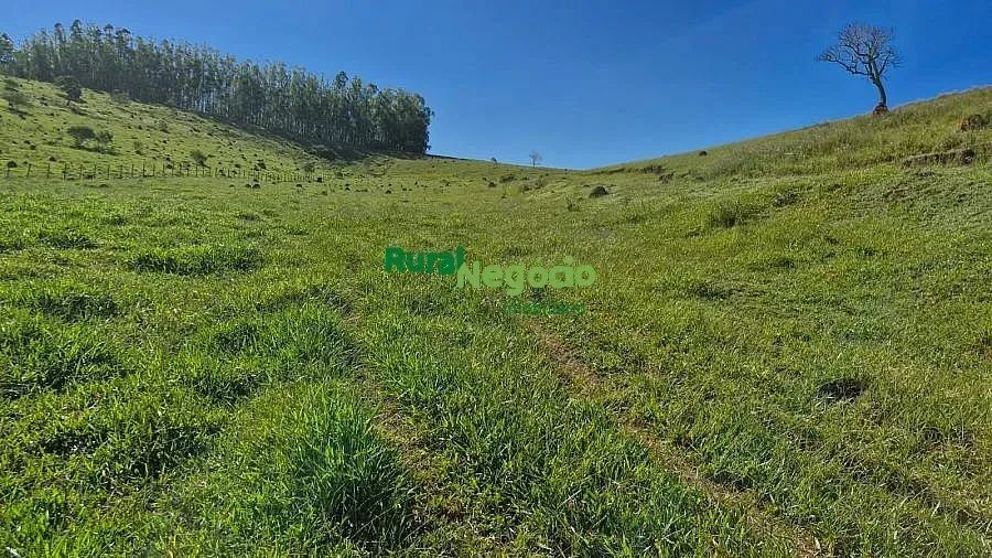 SÍTIO FORMADO À VENDA EM SÃO LUIZ DO PARAITINGA/SP - Foto 3