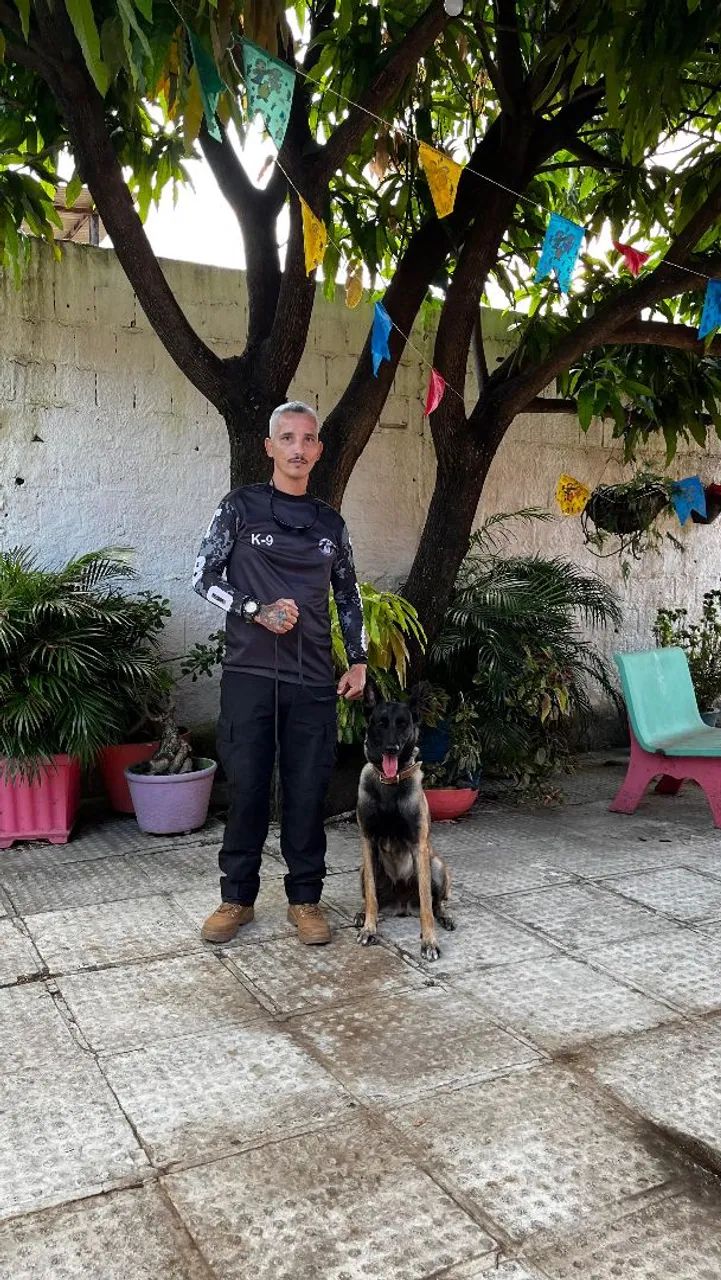 Adestrador de cães  - Foto 3