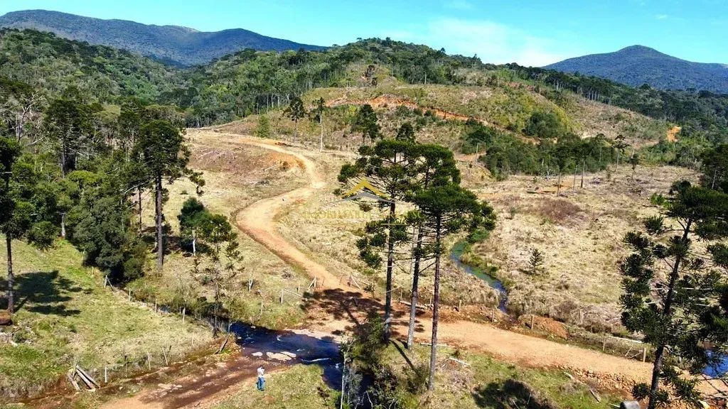 Terreno com 59,6 hectares em Rio Rufino - Foto 2