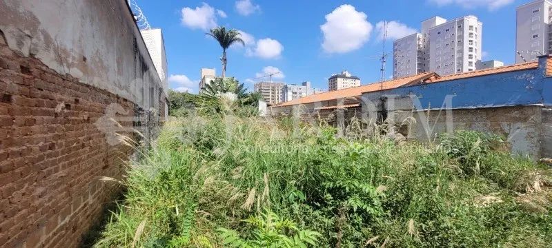 TERRENO | CENTENÁRIO - Foto 2