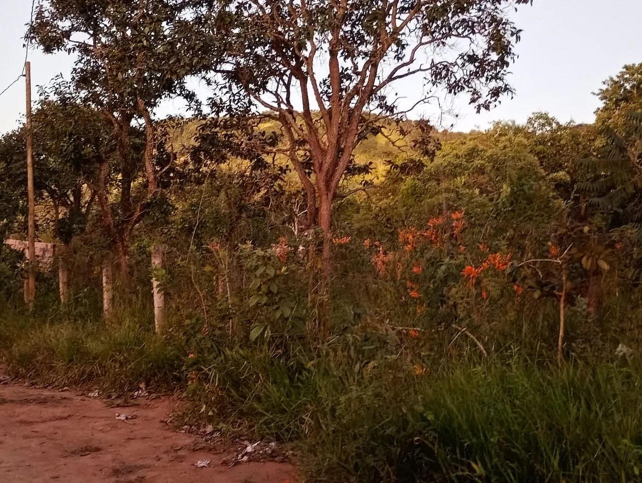 Lote próximo a cajuru