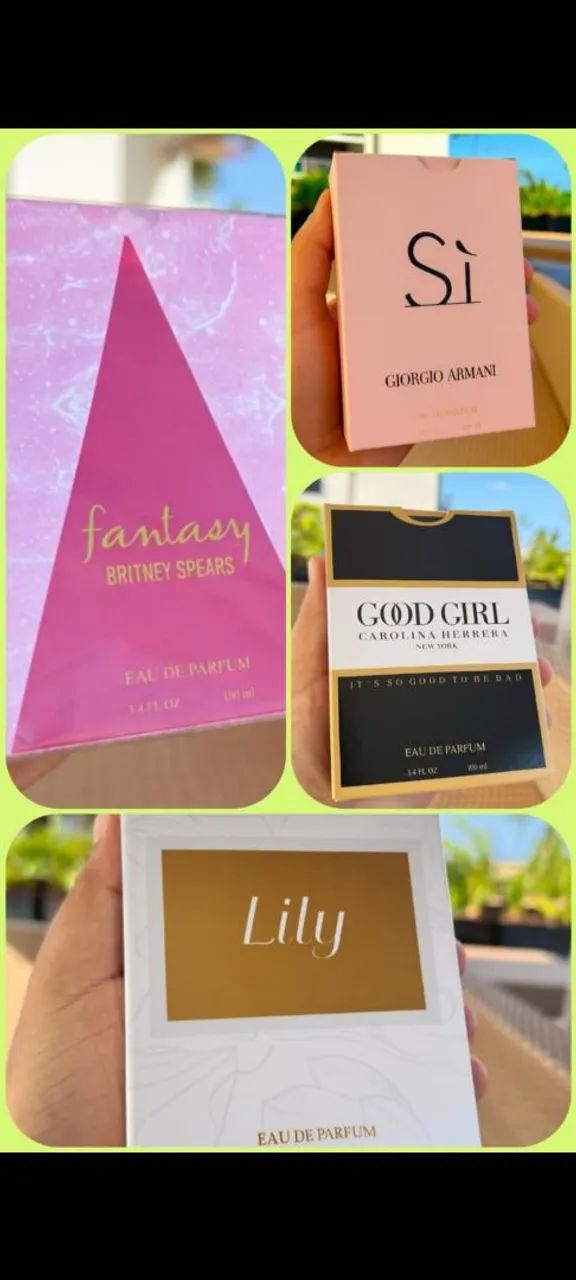 PERFUMES SIMILARES LINHA PREMIUM A BASE DE ÓLEO  - Foto 3