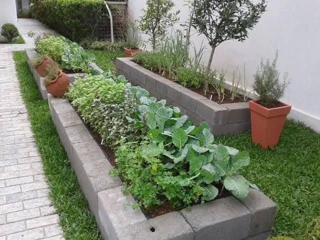 Jardinagem  - Foto 5