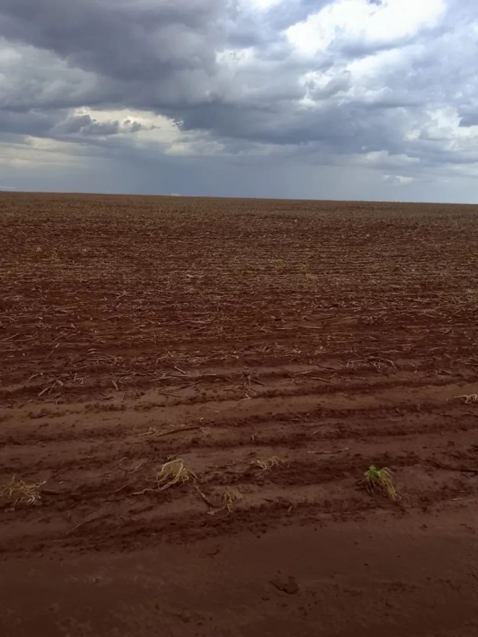 Fazenda em Juti MS
