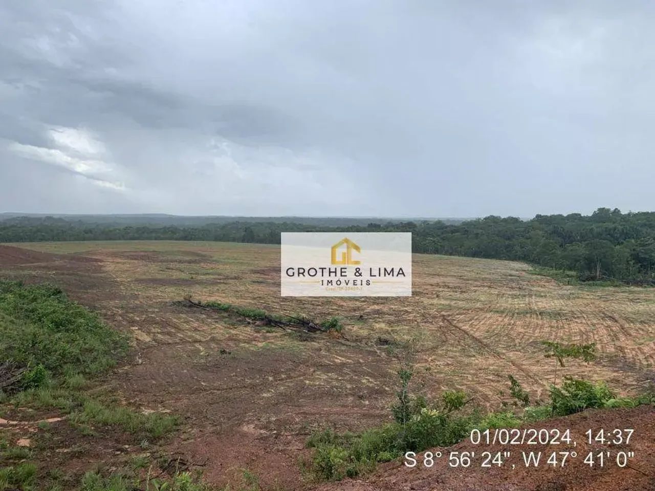 Fazenda à venda na Região de Pedro Afonso/TO. - Foto 5