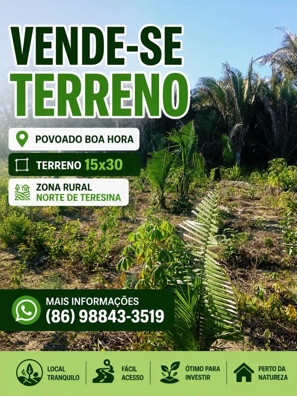 Foto - Teresina - Santa Maria