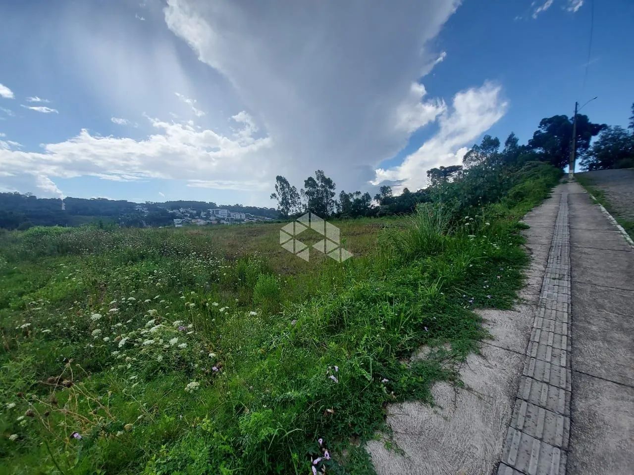 Amplo terreno - Foto 2