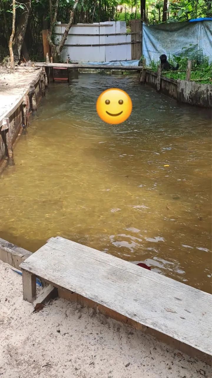 Vendo sítio em Marapanim  - Foto 3