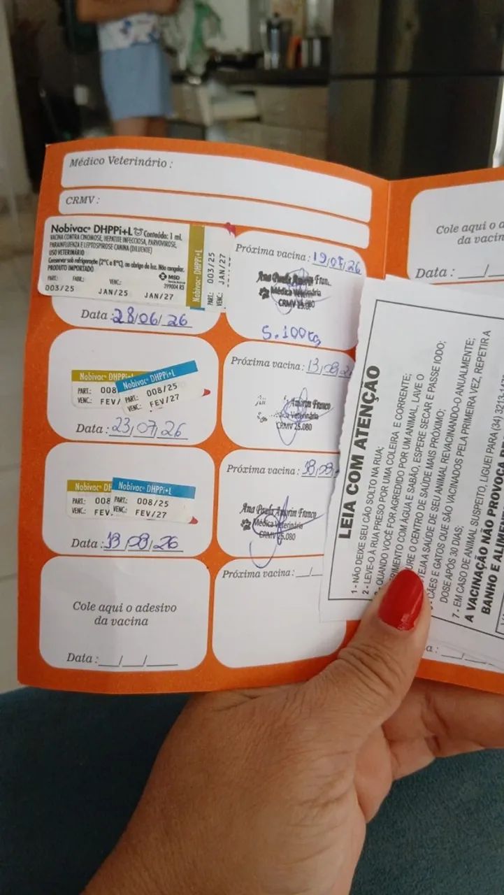 Doação  - Foto 4