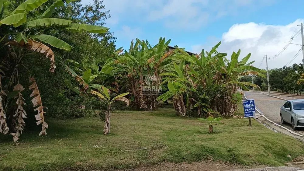 Imóvel para venda tem 1000 metros quadrados em Saire - Sairé - PE - Foto 2