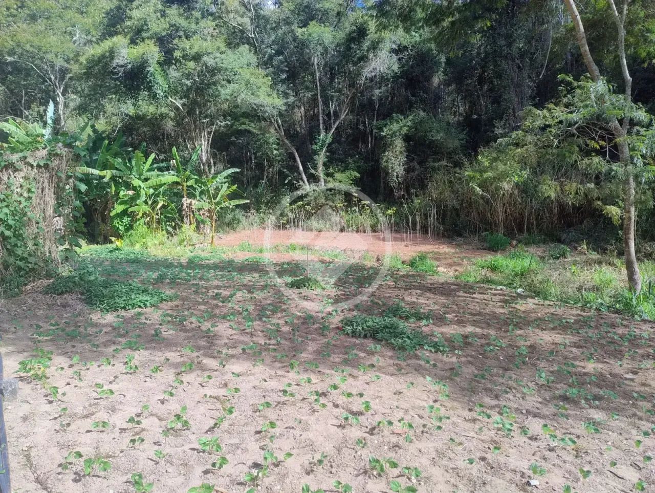Amplo terreno em Venda Nova | 716 m2 codigo: 355250 - Foto 5