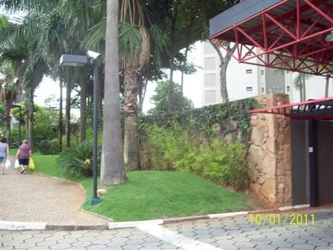 PROXIMO LAGOA / ARAUTOS DA PAZ - Foto 3