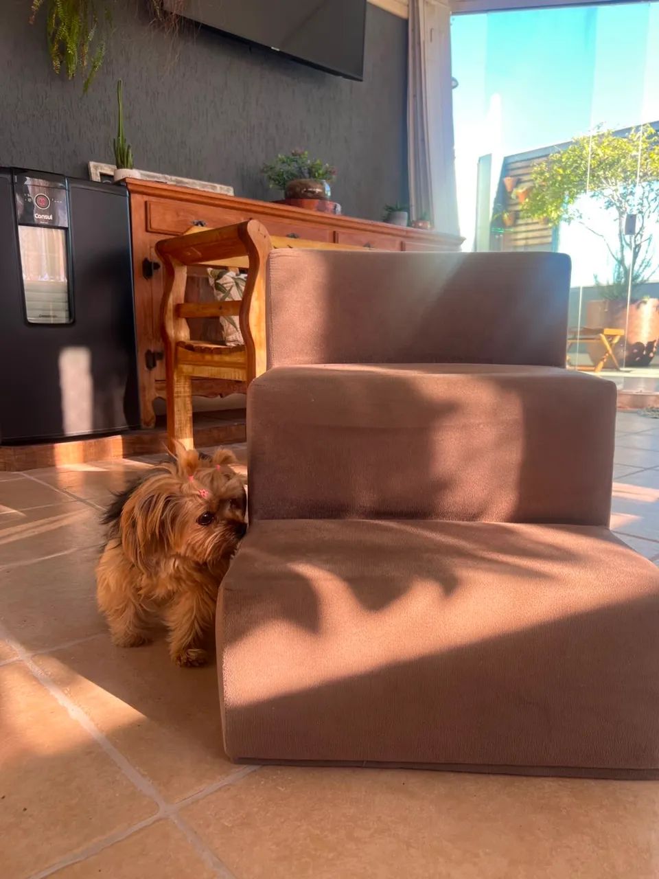 ESCADA PET CAMA  - Foto 3