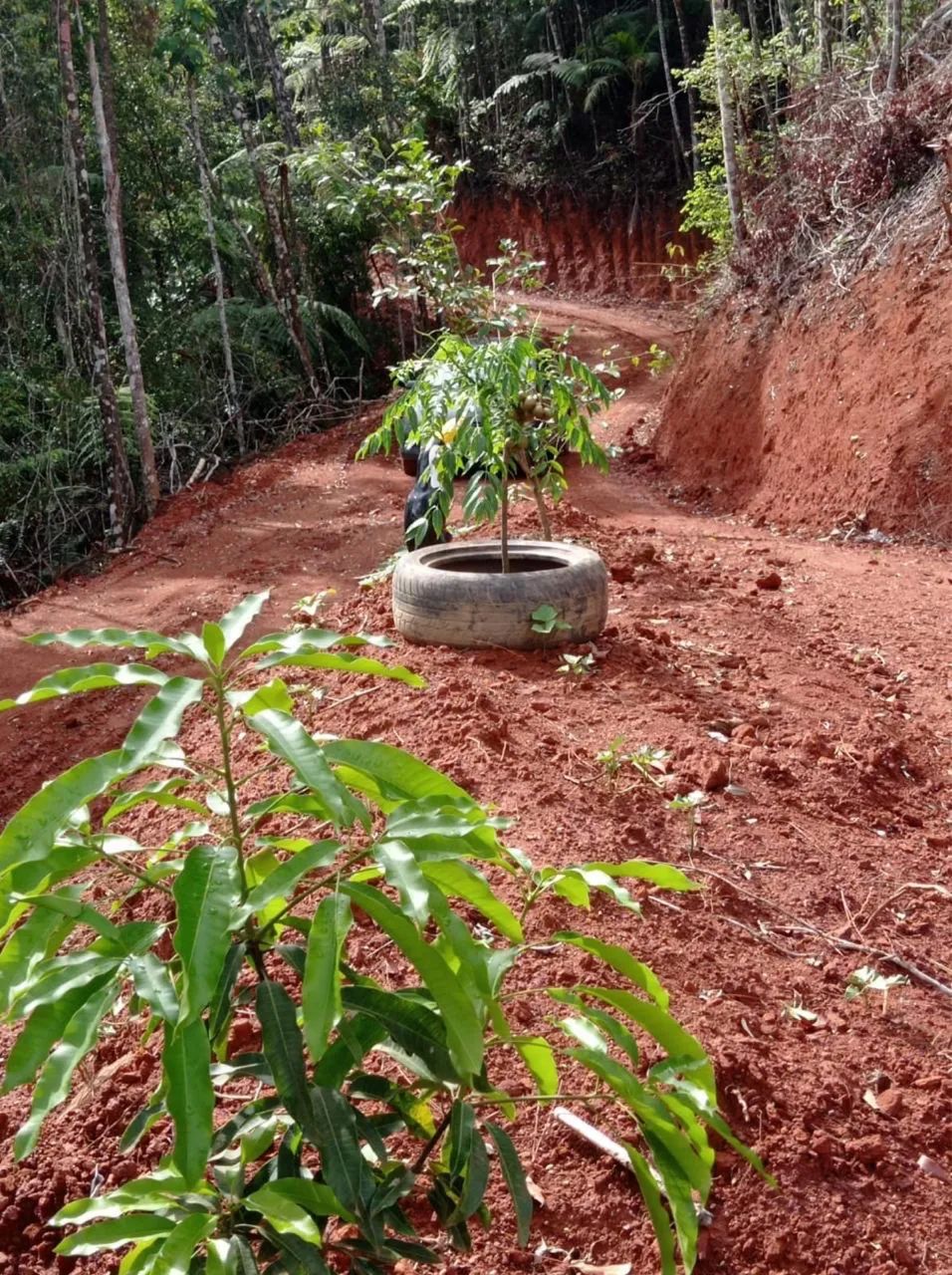 Terreno no Trevo de Paraju  - Foto 2