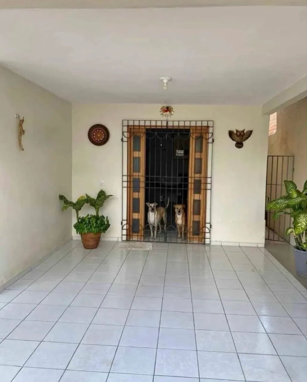 @Vendo na Cidade Nova - Já desocupada