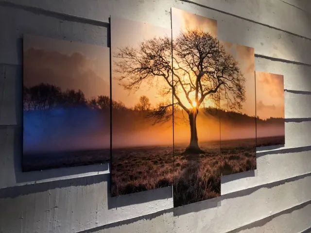 Quadros 