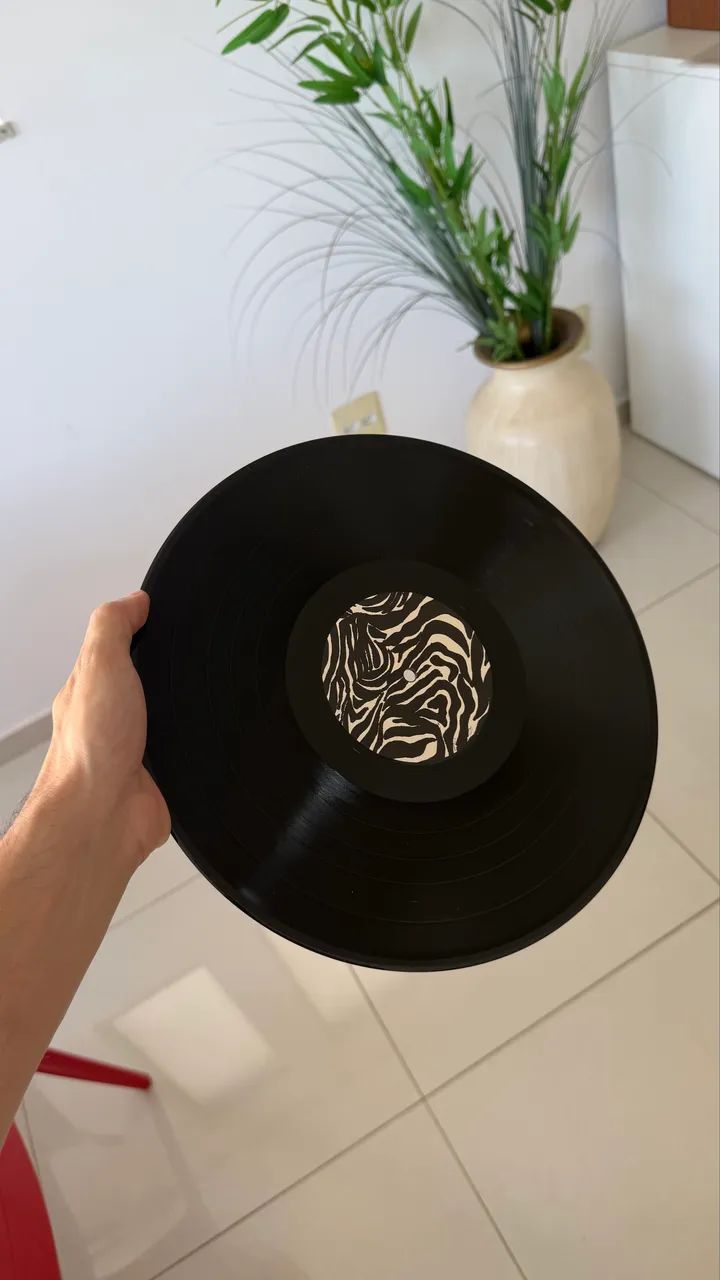 Disco de vinil LP Ana Frango Elétrico - Me Chama de Gato - Noize + revista - Foto 4