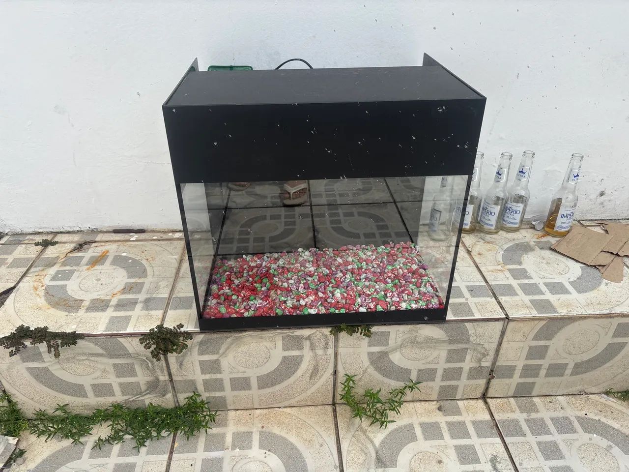 Aquário 