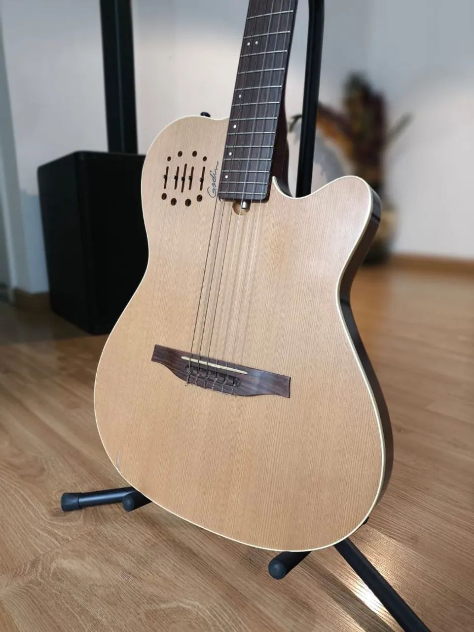 Violão Godin